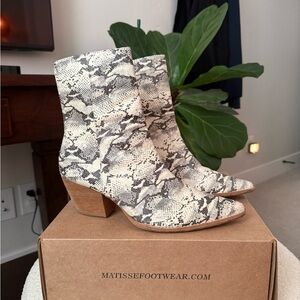 Matisse Snakeskin Caty Boots - Cream and Black - EUC